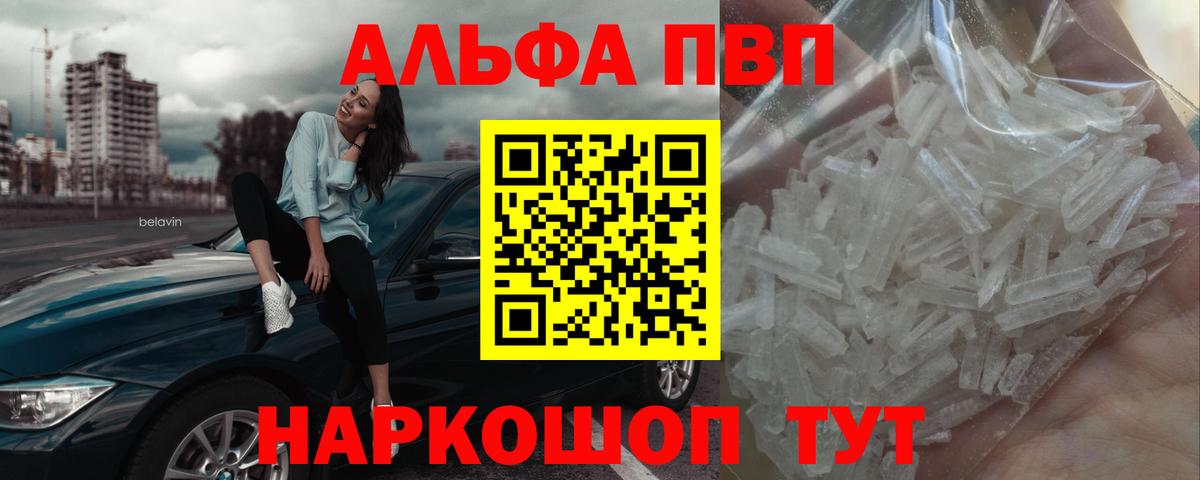 A PVP СК Прокопьевск