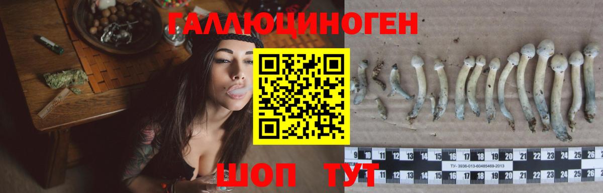 Галлюциногенные грибы ЛСД  Галлюциногенные грибы Magic Shrooms  Прокопьевск  Вход с VPN 